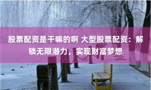 股票配资是干嘛的啊 大型股票配资：解锁无限潜力，实现财富梦想