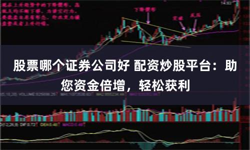 股票哪个证券公司好 配资炒股平台：助您资金倍增，轻松获利